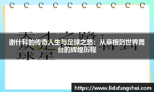 谢什科的传奇人生与足球之路：从草根到世界舞台的辉煌历程