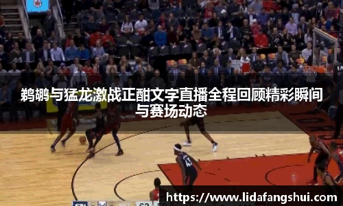 鹈鹕与猛龙激战正酣文字直播全程回顾精彩瞬间与赛场动态